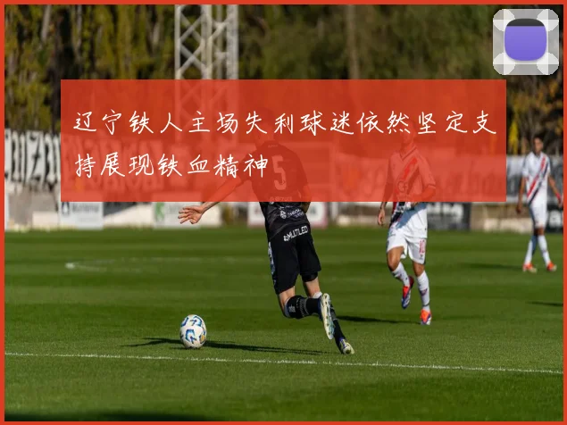 辽宁铁人主场失利球迷依然坚定支持展现铁血精神