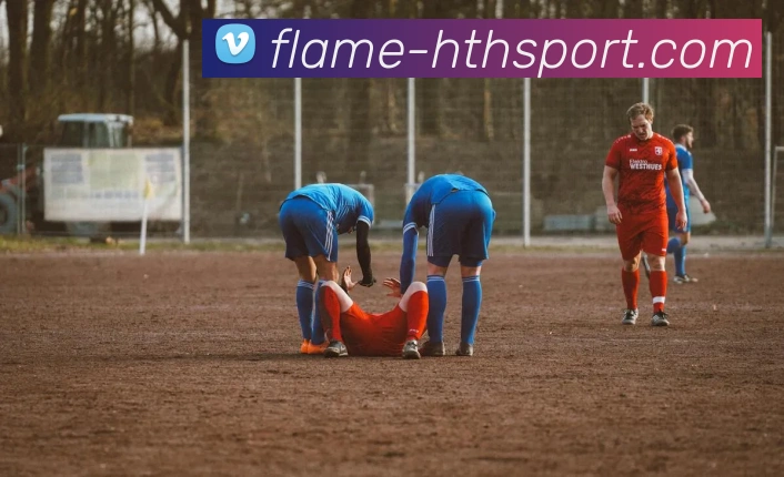 hth体育平台生态图